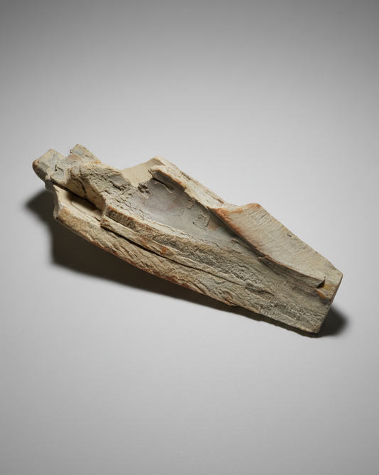 Woolly Mammoth Tusk Section (Tip), Pleistocene Epoch - Permafrost find - Tamiyr, Siberia, Russia