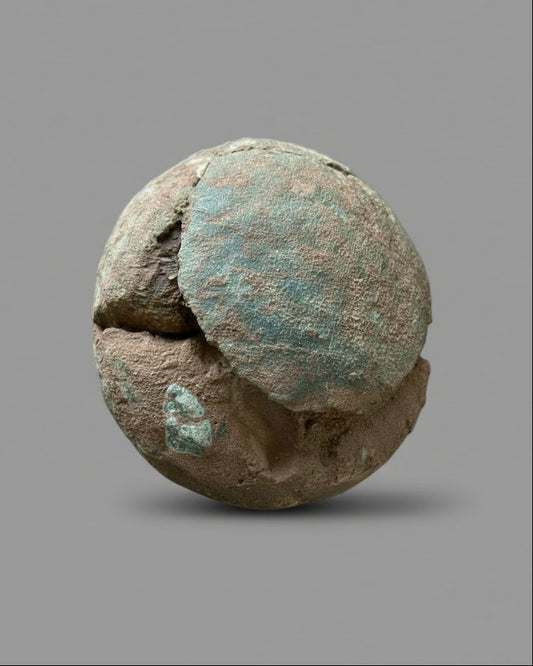 Extra- Large Hadrosaurid Dinosaur Egg with ‘hatching gap’ (Dendroolithus oogenus),China.