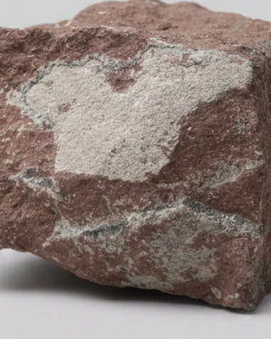 Hadrosaurid Dinosaur Egg (Partial) in Matrix with Good Eggshell Preservation - Cretaceous Period, Central China