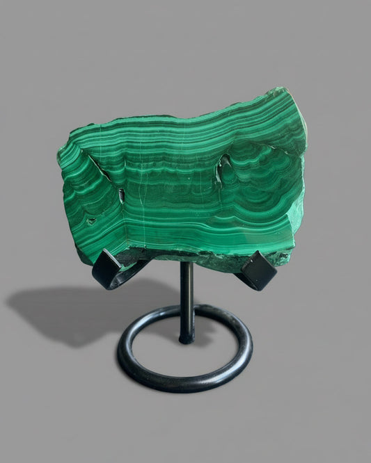 Polished Malachite Slab on black stand. Stunning natural patterns. Congo.