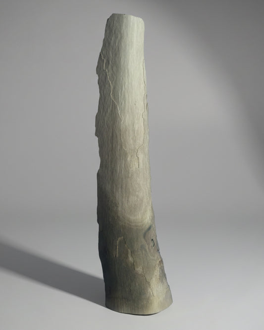 Woolly Mammoth Tusk Section (Large), Pleistocene Epoch - Permafrost find - Taimyr, Siberia, Russia
