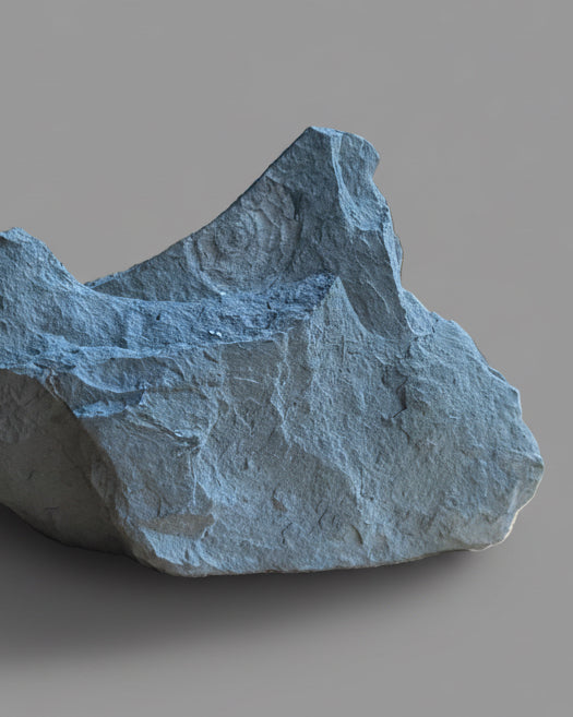 Multi Irridescent Psiloceras Planorbis Death Bed, Somerset Jurassic Coast, UK.