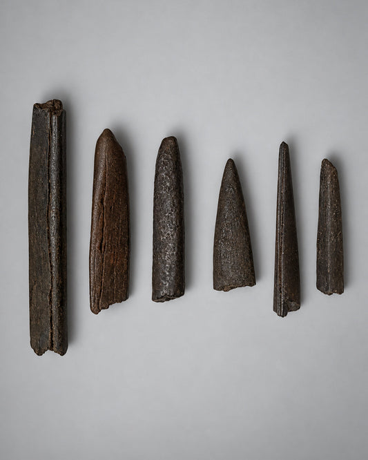 Collection of Native American Worked Bone Tools (Fishing Barbs & Perforating Awls) - Santa Fe River, Florida, USA - Middle Archaic Period, c. 5000-4500 BC (Rare)