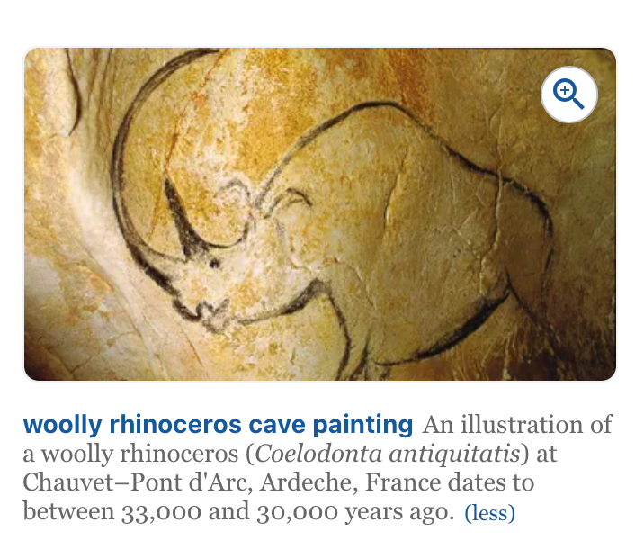 Large Coelodonta Antiquitatis (Woolly Rhinoceros) Lower Jaw with Four Rooted Teeth. Pleistocene, Darmstadt, Germany.