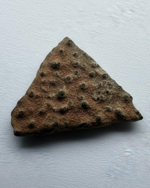 OVIRAPTOR Theropod Dinosaur Eggshell Fragment #3. Nanxiong, China.