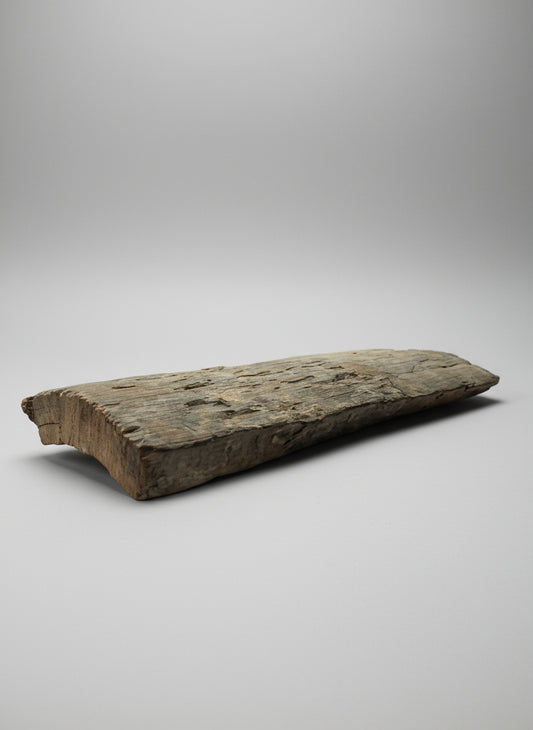 Mammuthus Primigenius (Wooly Mammoth) tusk section. Siberia.(#L2)