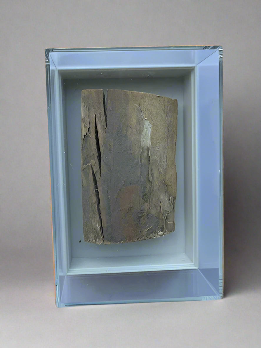 Mammuthus Primigenius (Wooly Mammoth) tusk section. Siberia. Boxed with label.(#1)