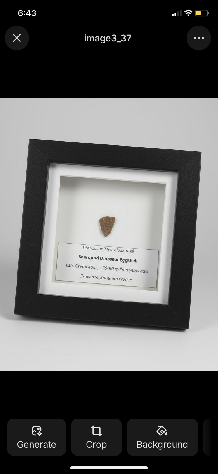 FEATURED COLLECTION: