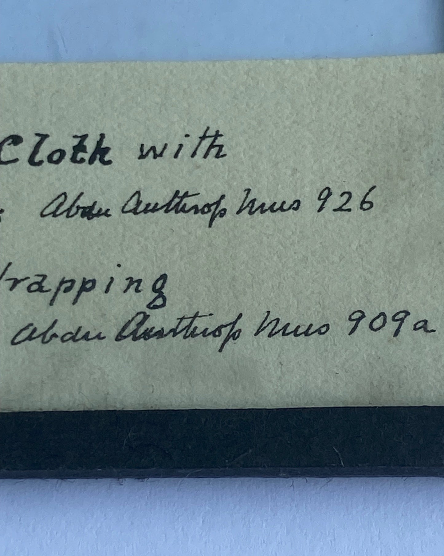 Ancient Egyptian Mummy Wrappings, one with hieratic inscriptions, with Early 20th-Century Museum Label and Glass Display - Ex Aberdeen Anthropology Museum (Former Grant Bey Coll.)