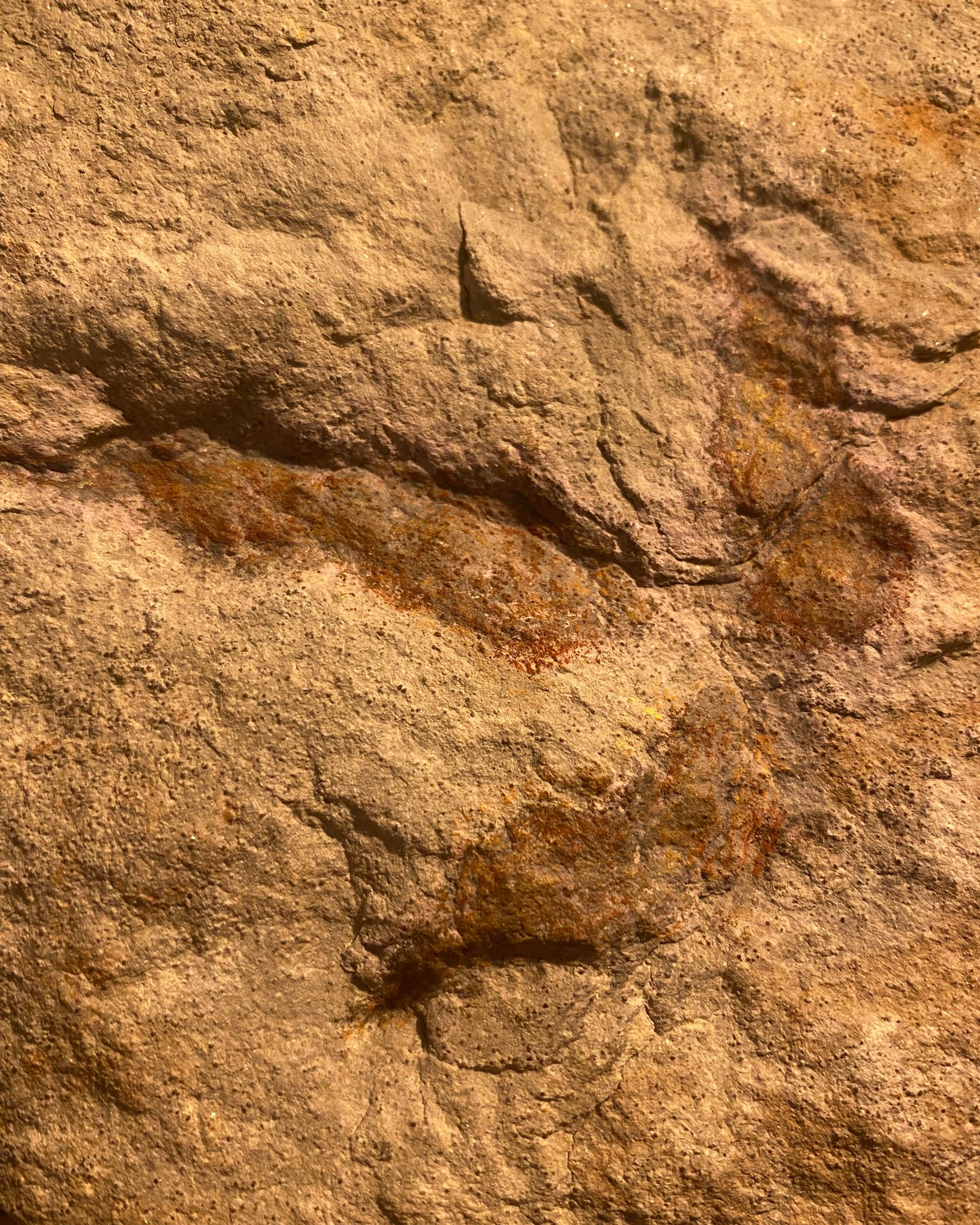 British Theropod Dinosaur Footprint, Late Jurassic, 
Scalby fm, Burniston Bay, North Yorkshire, UK