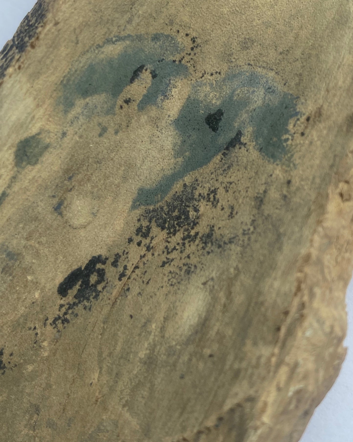 Woolly Mammoth Tusk Section (Large), Pleistocene Epoch - Permafrost find - Taimyr, Siberia, Russia