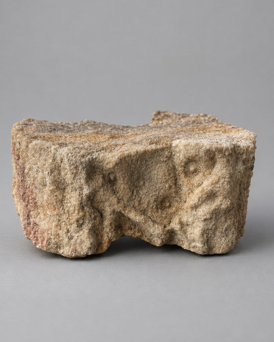 Section of Fossilised Lycopod Tree Root (Stigmaria) - Millstone Grit - Carboniferous Period - Overton, Lancashire, England. (B)