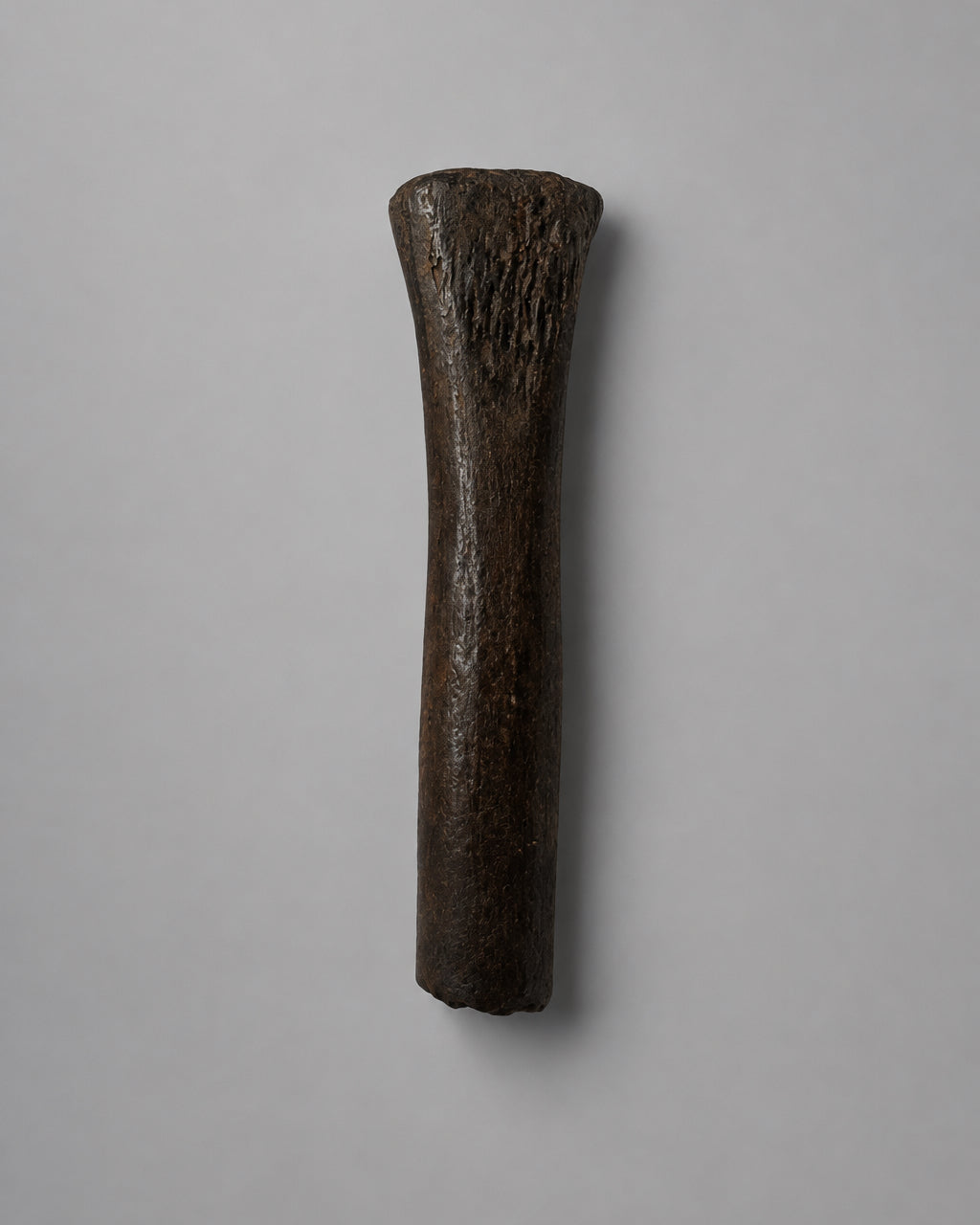 Native American Worked Animal Bone Expanded-Head Pin (Hair Ornament) - Santa Fe River, Florida - Middle Archaic Period, c. 5000-4500 BC