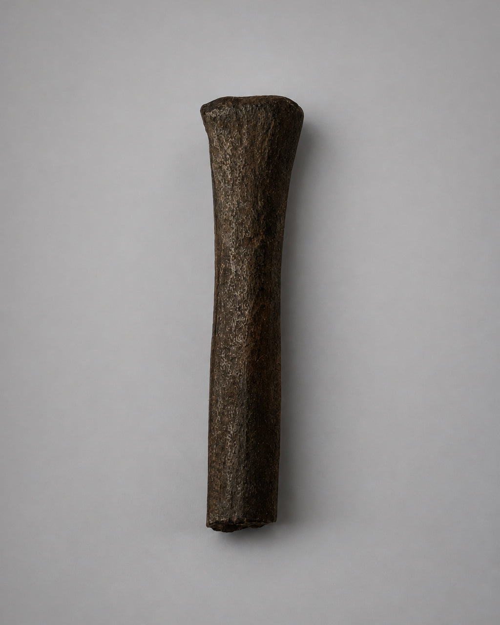 Native American Worked Animal Bone Expanded-Head Pin (Hair Ornament) - Santa Fe River, Florida - Middle Archaic Period, c. 5000-4500 BC
