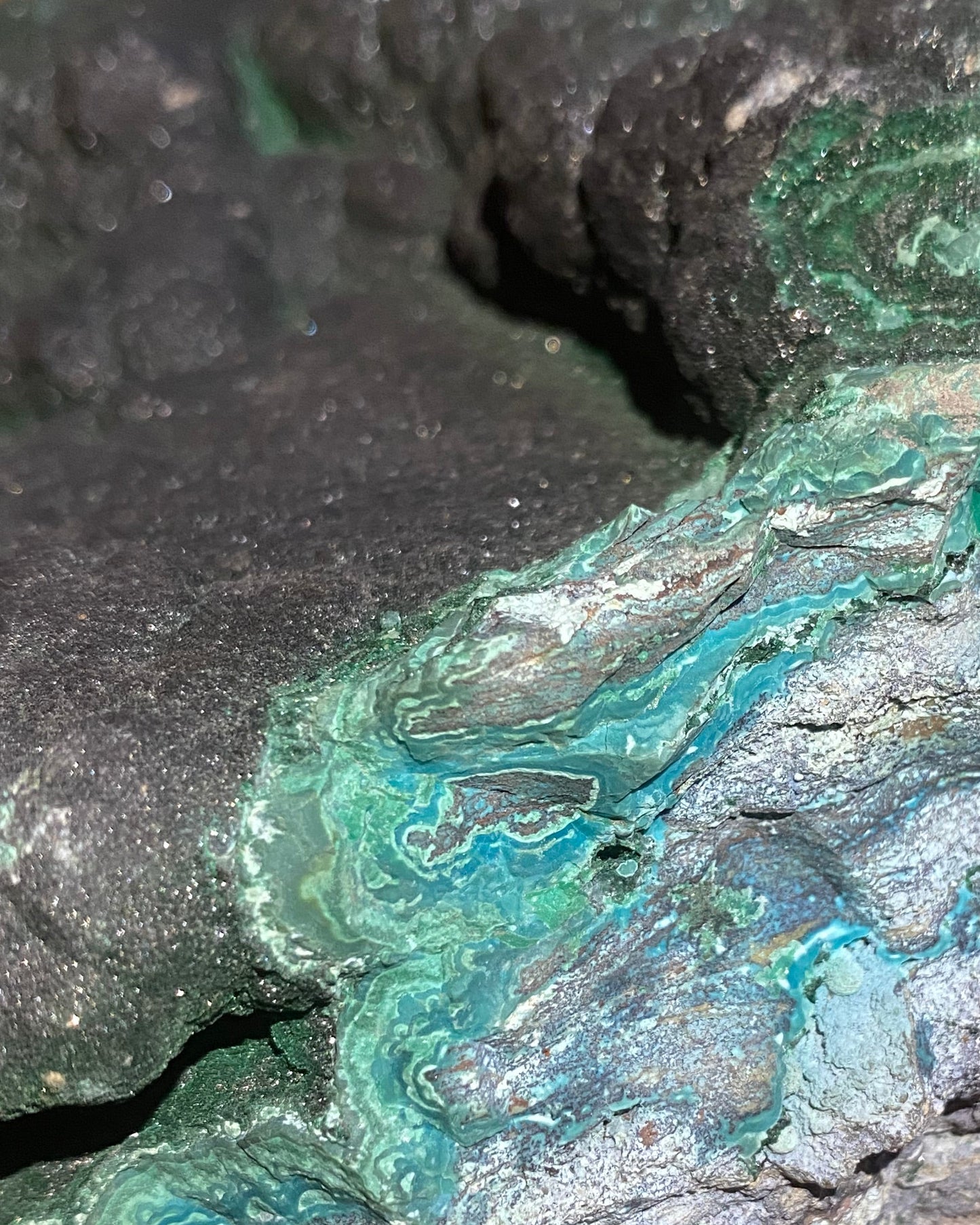 XL 10" Velvet Botryoidal Malachite on Chrysocolla Specimen, L'Etoile du Congo Mine, Lubumbashi, Katanga, DR Congo