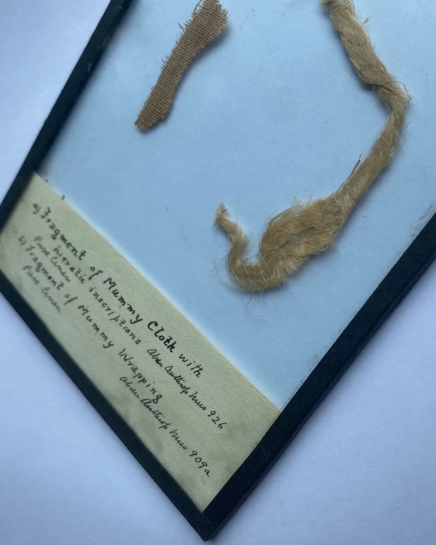 Ancient Egyptian Mummy Wrappings, one with hieratic inscriptions, with Early 20th-Century Museum Label and Glass Display - Ex Aberdeen Anthropology Museum (Former Grant Bey Coll.)