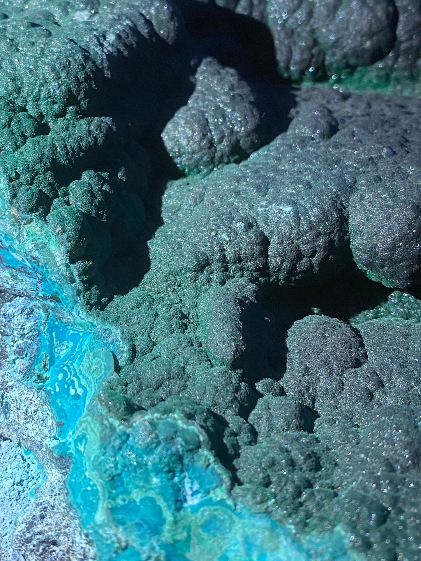 XL 10" Velvet Botryoidal Malachite on Chrysocolla Specimen, L'Etoile du Congo Mine, Lubumbashi, Katanga, DR Congo