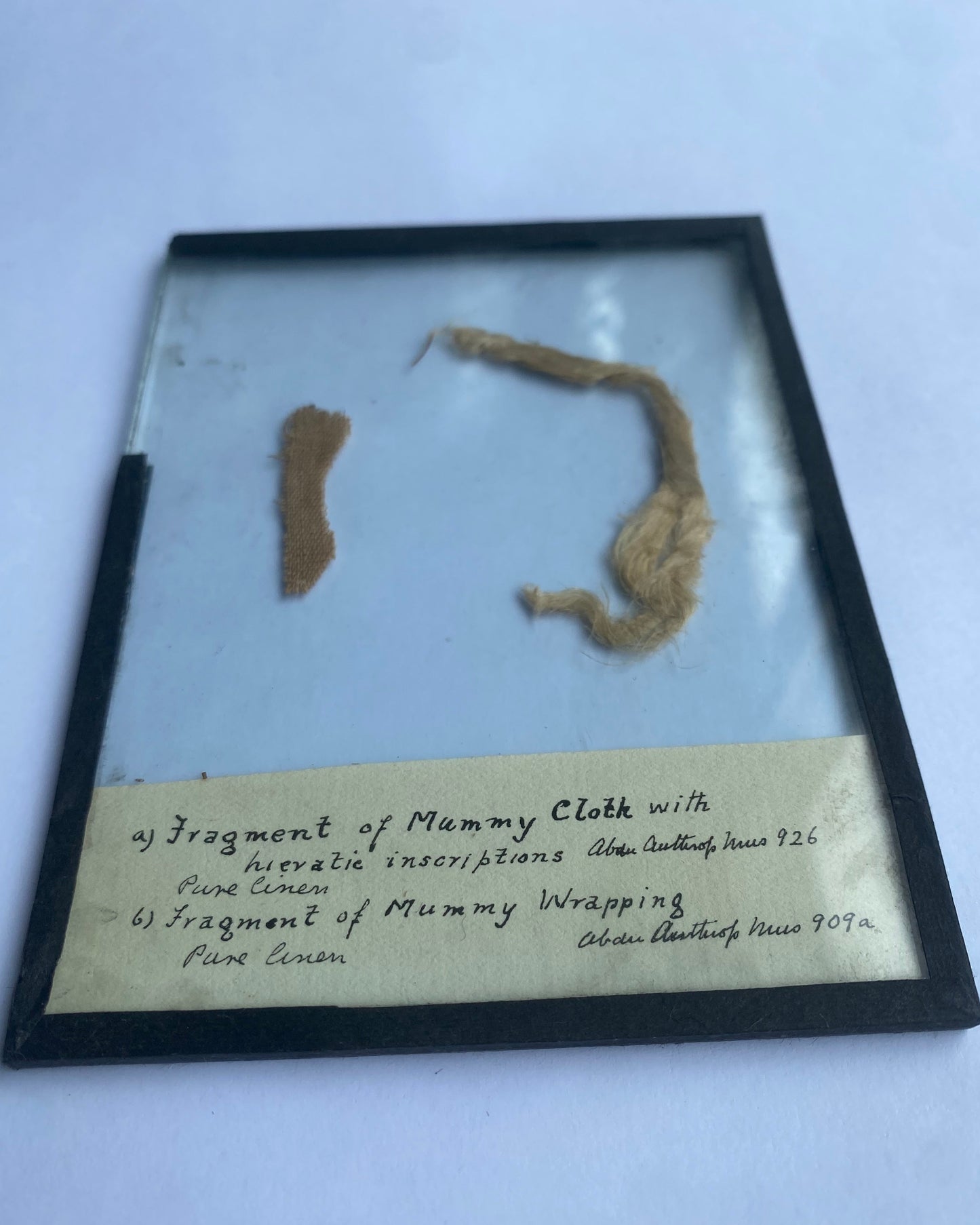 Ancient Egyptian Mummy Wrappings, one with hieratic inscriptions, with Early 20th-Century Museum Label and Glass Display - Ex Aberdeen Anthropology Museum (Former Grant Bey Coll.)