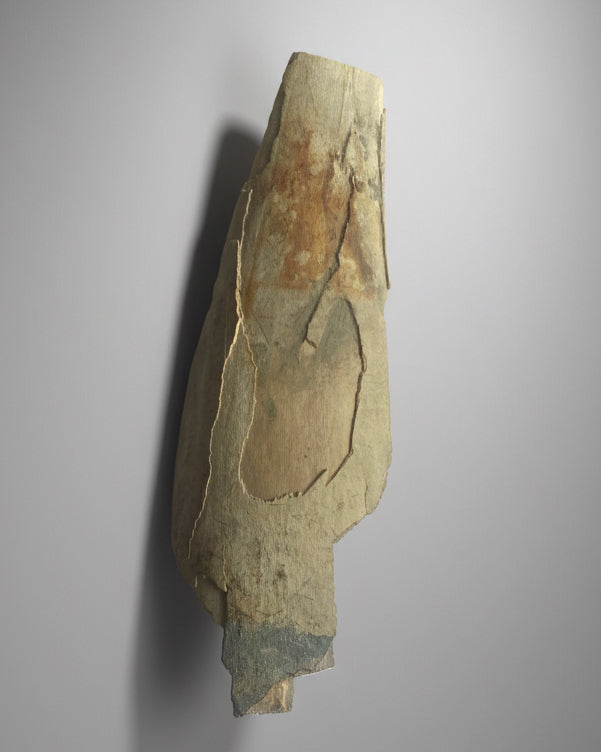 Woolly Mammoth Tusk Section (Tip), Pleistocene Epoch - Permafrost find - Taimyr, Siberia, Russia