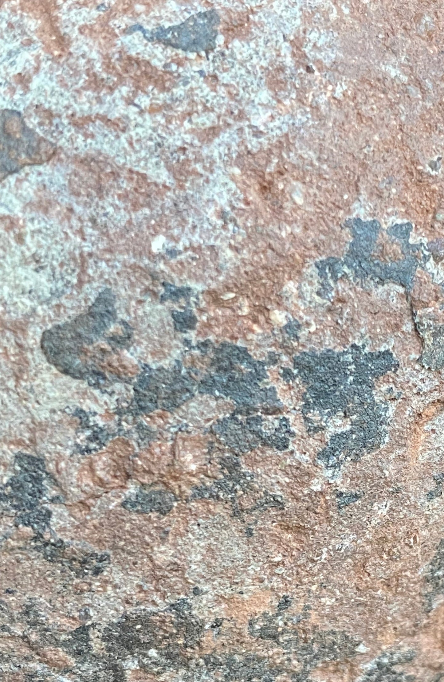 Huge Hadrosaurid Dinosaur Egg with ‘hatching gap’ (Dendroolithus oogenus), Xixia Basin, China