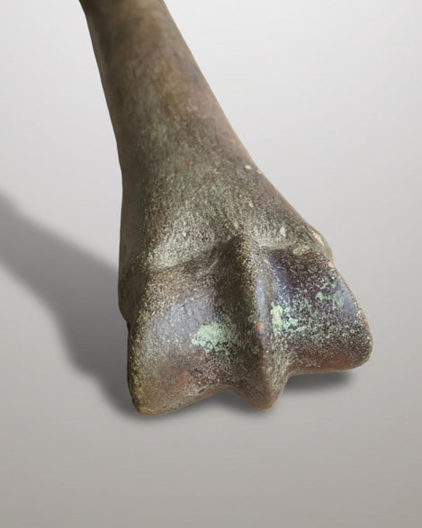 Pleistocene Wild Horse Metatarsal with Ice Age Human Butchery Marks -
Upper Vistula River, Poland, c. 28,000–13,000 BC