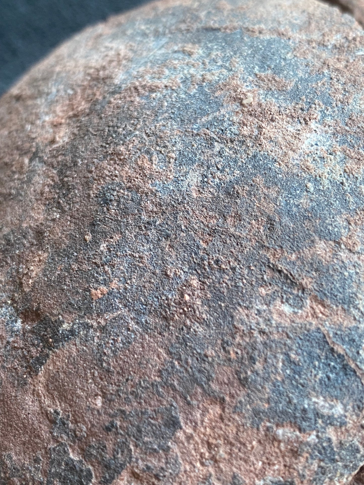 Huge Hadrosaurid Dinosaur Egg with ‘hatching gap’ (Dendroolithus oogenus), Xixia Basin, China