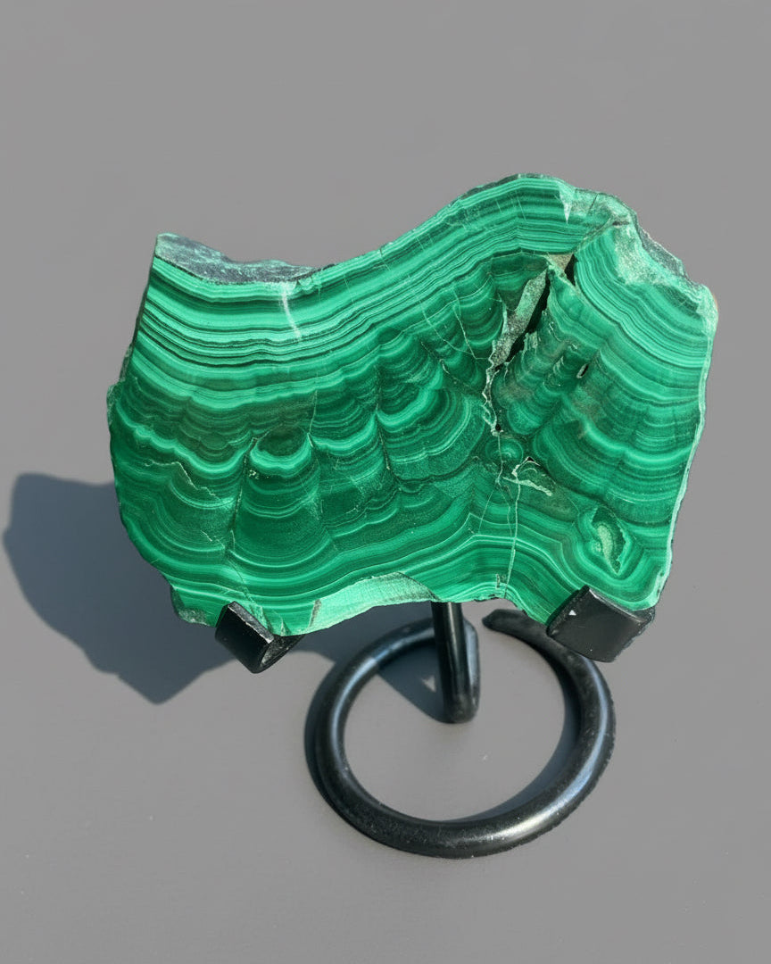 Polished Malachite Slab on black stand. Stunning natural patterns. DR Congo.