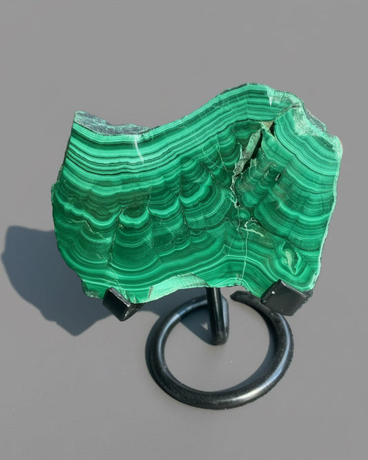 Polished Malachite Slab on black stand. Stunning natural patterns. Congo.