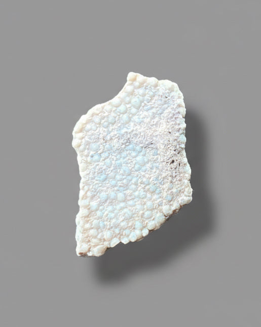 Hypselosaurus TITANOSAUR Sauropod Dinosaur Eggshell Fragment. Provence, France.
#4