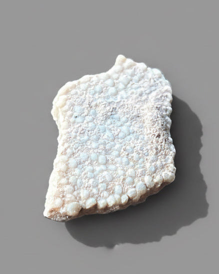 Hypselosaurus TITANOSAUR Sauropod Dinosaur Eggshell Fragment. Provence, France.
#4