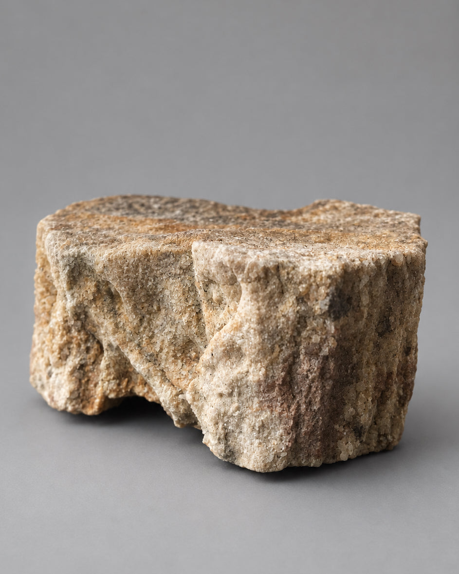 Section of Fossilised Lycopod Tree Root (Stigmaria) - Millstone Grit - Carboniferous Period - Overton, Lancashire, England. (B)