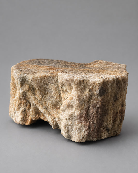 Section of Fossilised Lycopod Tree Root (Stigmaria) - Millstone Grit - Carboniferous Period - Overton, Lancashire, England. (B)