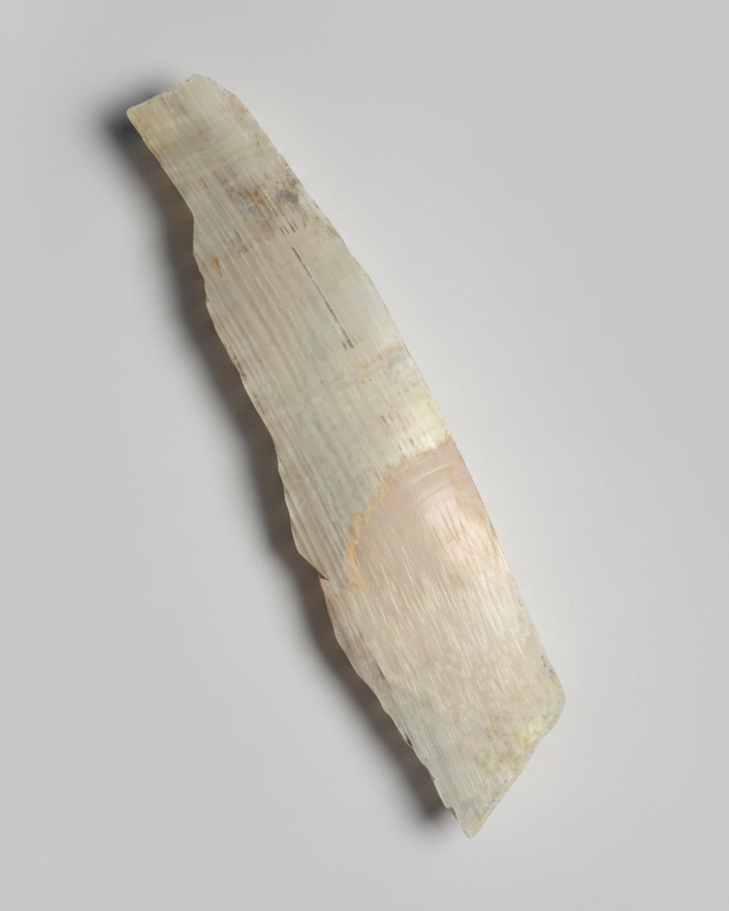 Woolly Mammoth Tusk Section With Unique Patterns, Pleistocene Epoch - Permafrost find - Tamiyr, Siberia, Russia