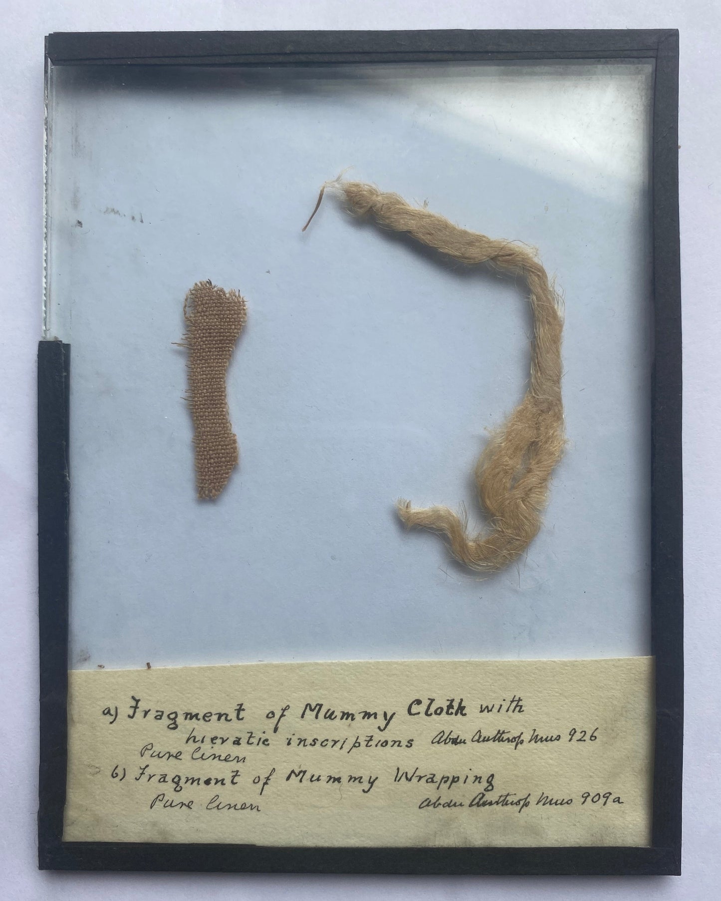Ancient Egyptian Mummy Wrappings, one with hieratic inscriptions, with Early 20th-Century Museum Label and Glass Display - Ex Aberdeen Anthropology Museum (Former Grant Bey Coll.)