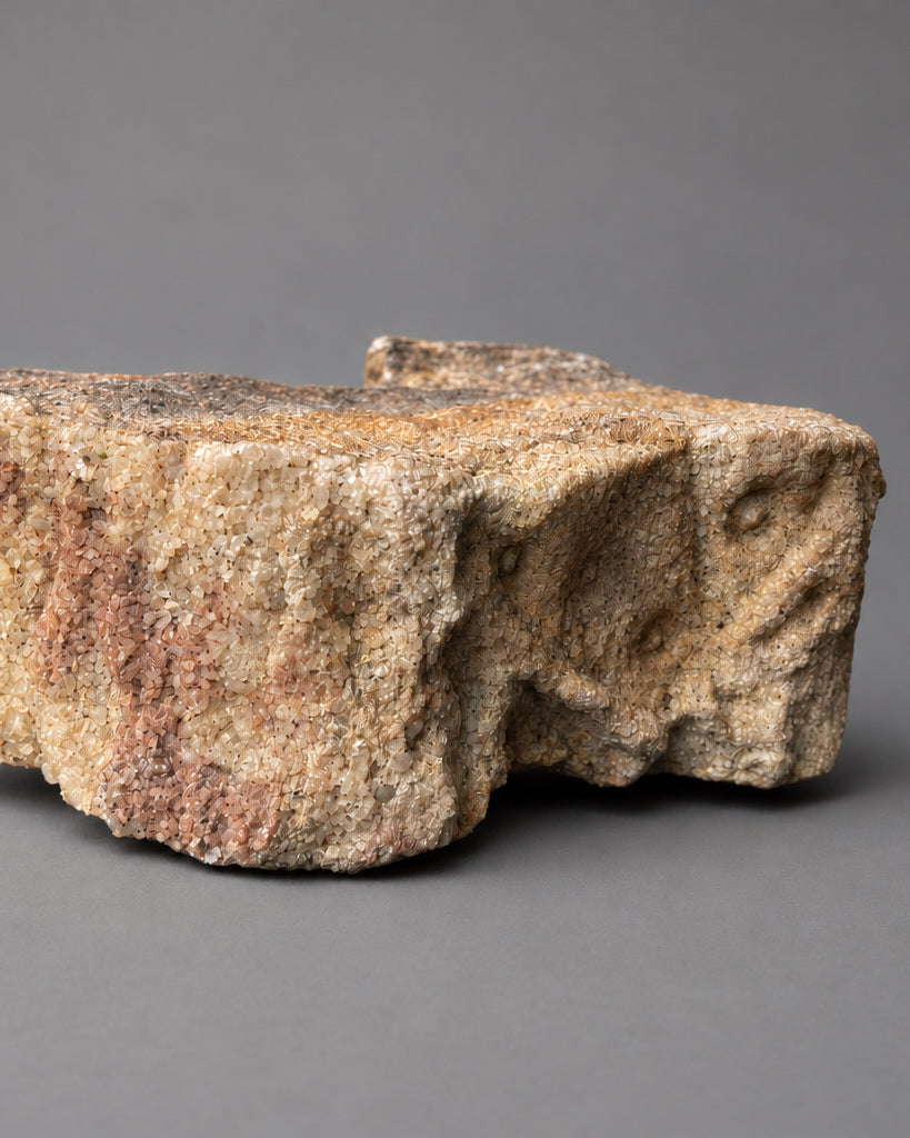 Section of Fossilised Lycopod Tree Root (Stigmaria) - Millstone Grit - Carboniferous Period - Overton, Lancashire, England. (B)