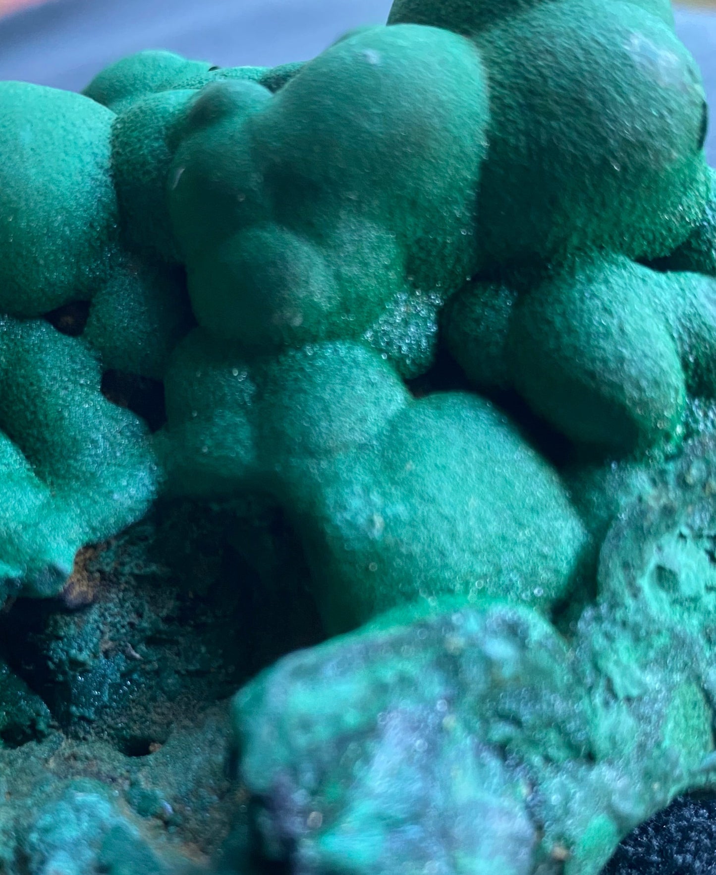 Botryoidal Malachite Specimen, natural form. Congo.