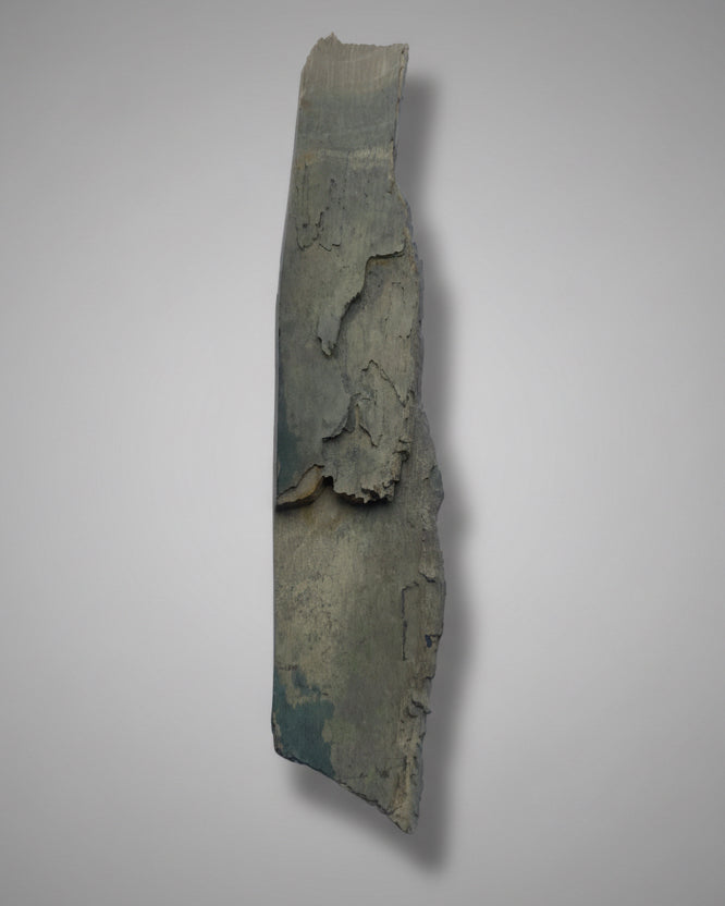 Woolly Mammoth Tusk Section With Unique Patterns, Pleistocene Epoch - Permafrost find - Tamiyr, Siberia, Russia