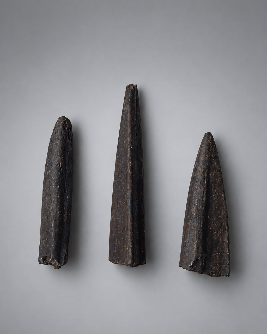 Collection of Native American Worked Bone Tools (Fishing Barbs & Perforating Awls) - Santa Fe River, Florida, USA - Middle Archaic Period, c. 5000-4500 BC (Rare)