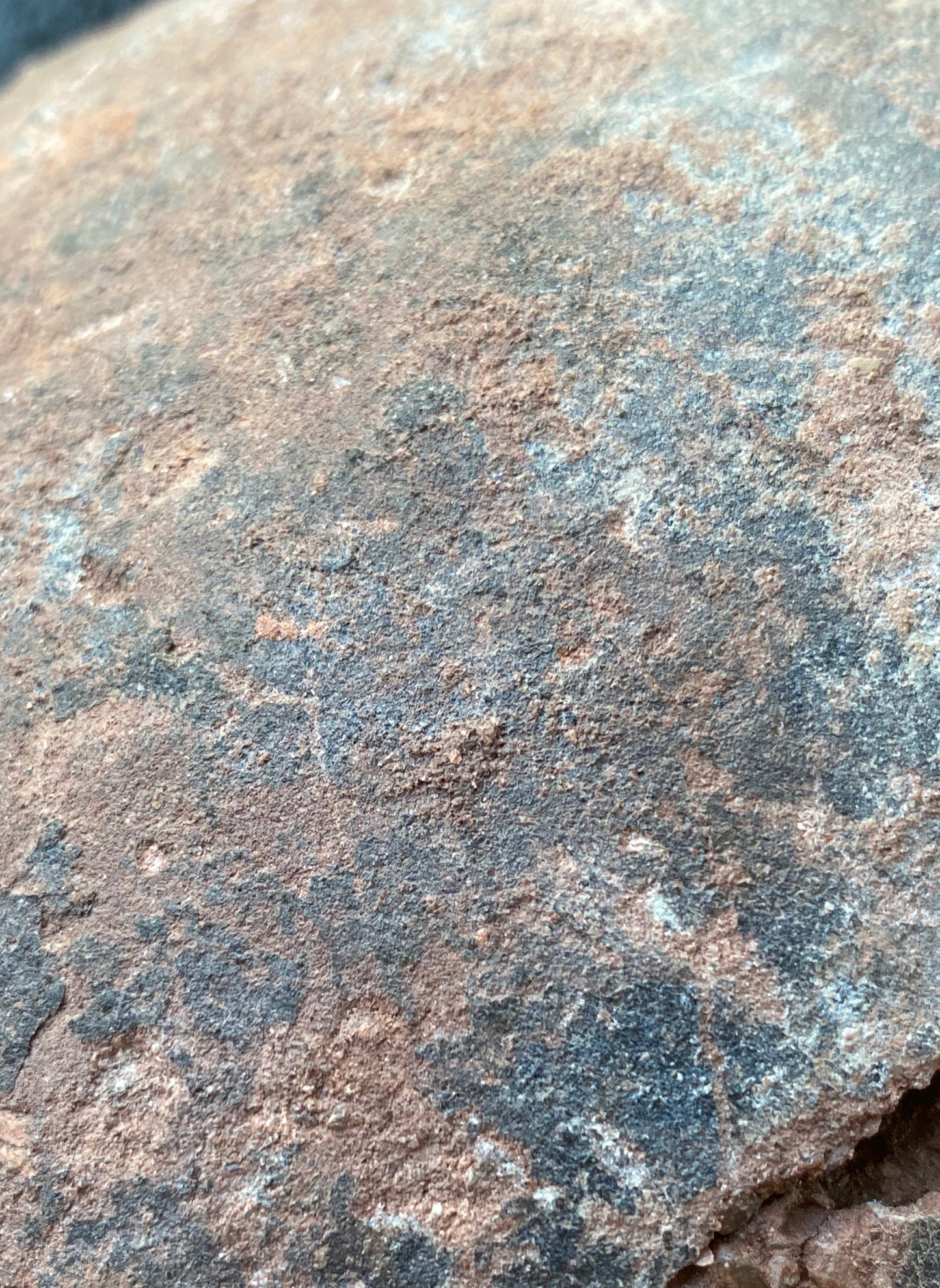 Huge Hadrosaurid Dinosaur Egg with ‘hatching gap’ (Dendroolithus oogenus), Xixia Basin, China