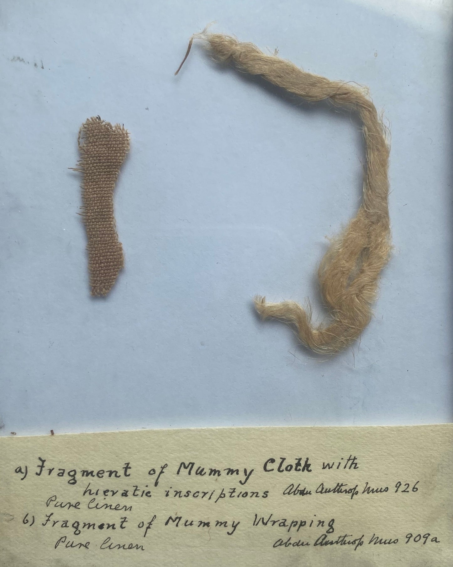 Ancient Egyptian Mummy Wrappings, one with hieratic inscriptions, with Early 20th-Century Museum Label and Glass Display - Ex Aberdeen Anthropology Museum (Former Grant Bey Coll.)