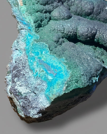 XL 10" Velvet Botryoidal Malachite on Chrysocolla Specimen, L'Etoile du Congo Mine, Lubumbashi, Katanga, DR Congo