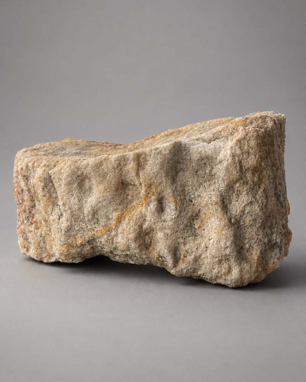 Section of Fossilised Lycopod Tree Root (Stigmaria) - Millstone Grit - Carboniferous Period - Overton, Lancashire, England. (A)