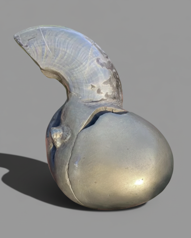 Rare Jurassic ‘Golden Egg’ Pyritised Ammonite Nodule - Encapsulated Eleganticeras + Large Protruding Ammonite Whorl (Split Pair)  - Lower Jurassic, Whitby, Yorkshire Coast, England