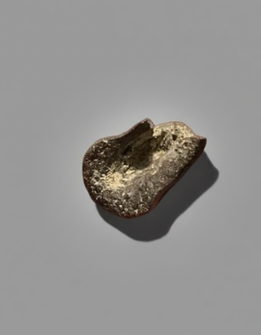 Dromaeosaur raptor Claw 30mm. proximal articulating surface. 