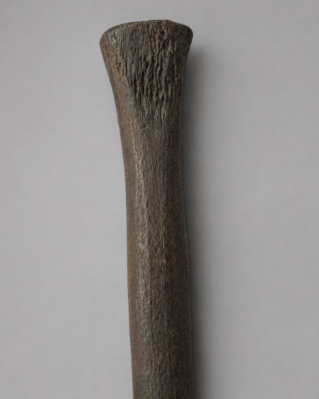 Native American Worked Animal Bone Expanded-Head Pin (Hair Ornament) - Santa Fe River, Florida - Middle Archaic Period, c. 5000-4500 BC
