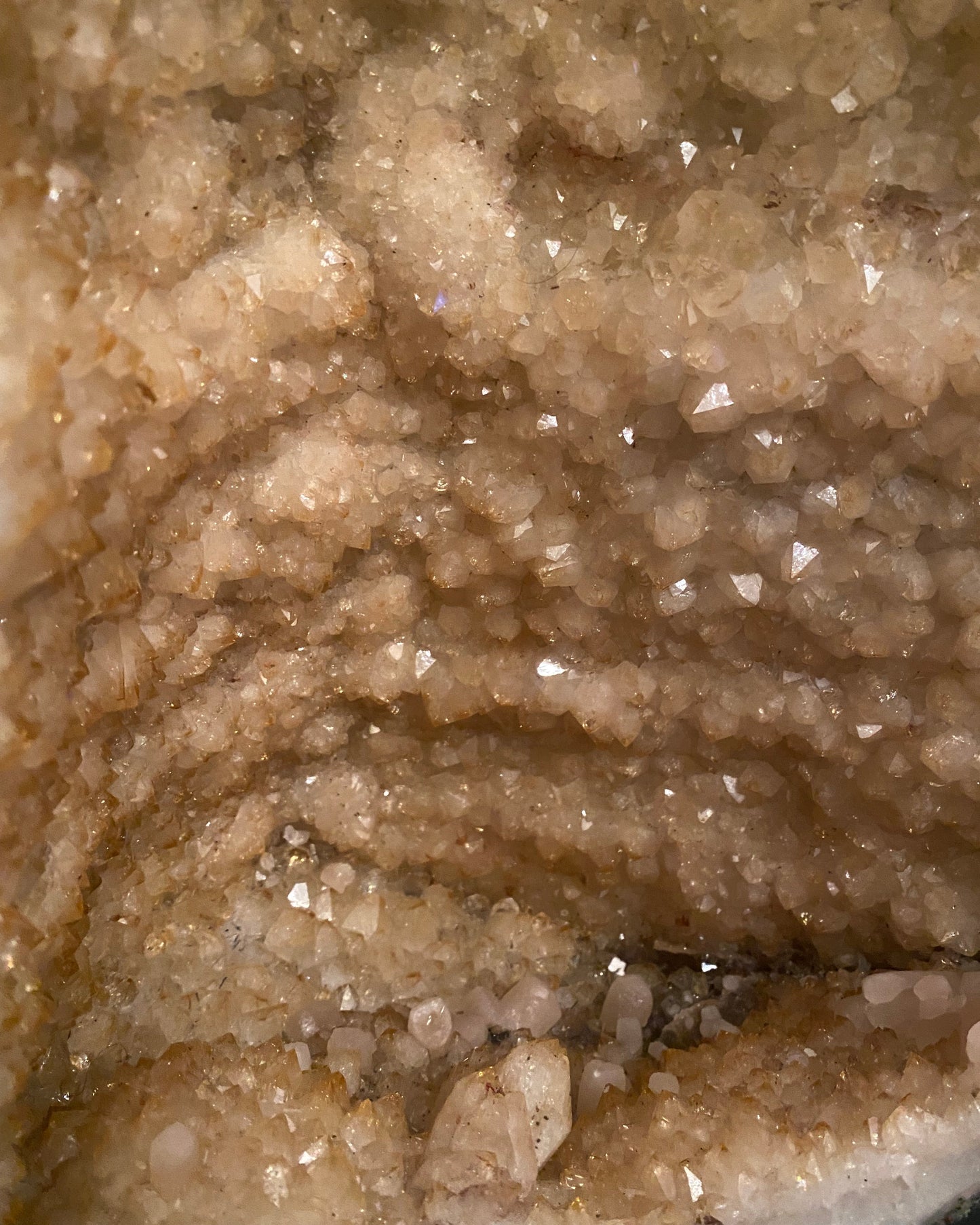 Monumental Extra-Large Citrine Cathedral Geode. Museum-Grade. Southern Brazil.