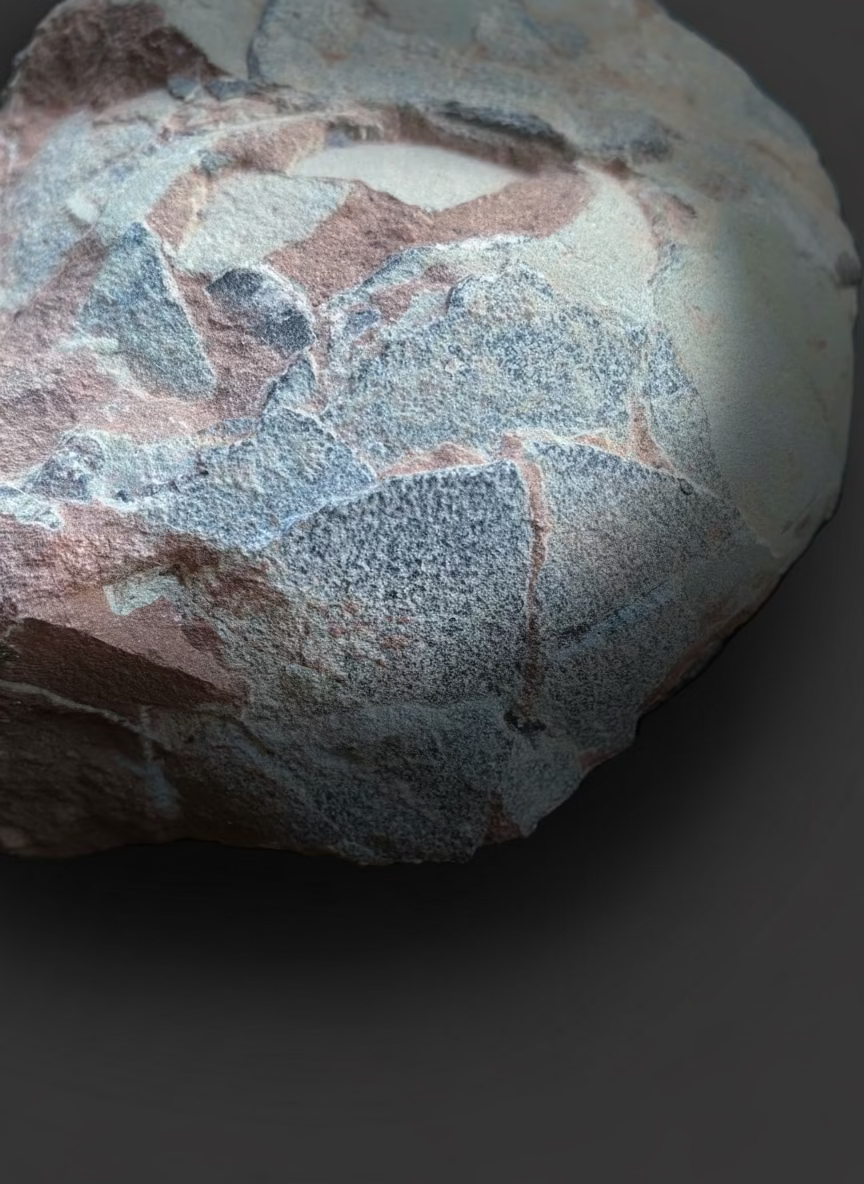 Hadrosaurid Dinosaur Egg with Perfectly Preserved Eggshell Details (Dendroolithus oogenus). Xixia Basin, China.