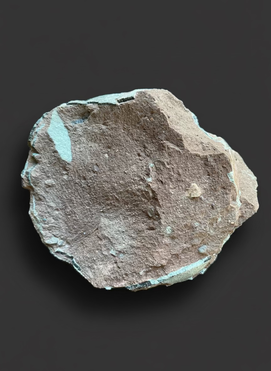 Hadrosaurid Dinosaur Egg with Perfectly Preserved Eggshell Details (Dendroolithus oogenus). Xixia Basin, China.