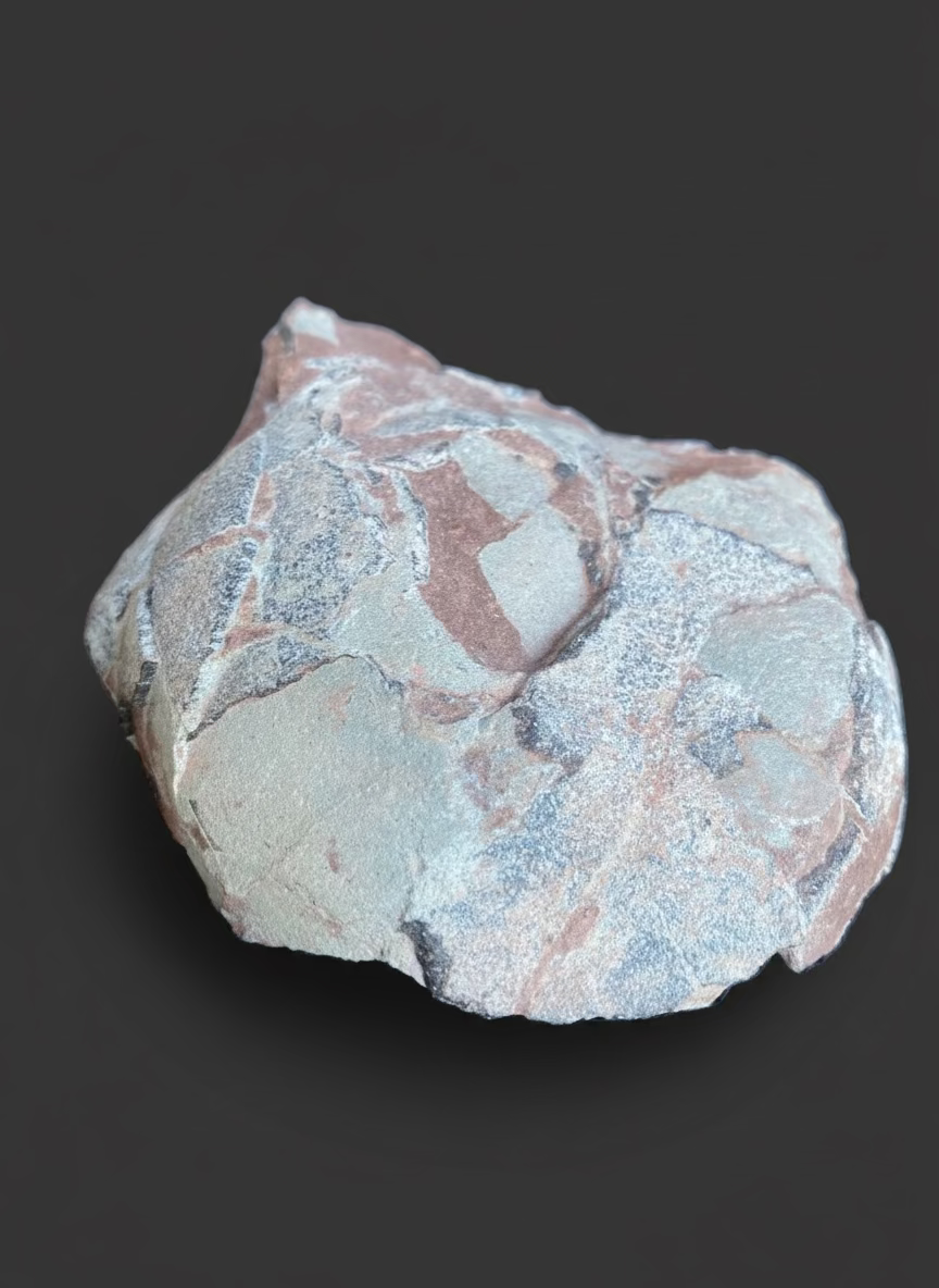 Hadrosaurid Dinosaur Egg with Perfectly Preserved Eggshell Details (Dendroolithus oogenus). Xixia Basin, China.