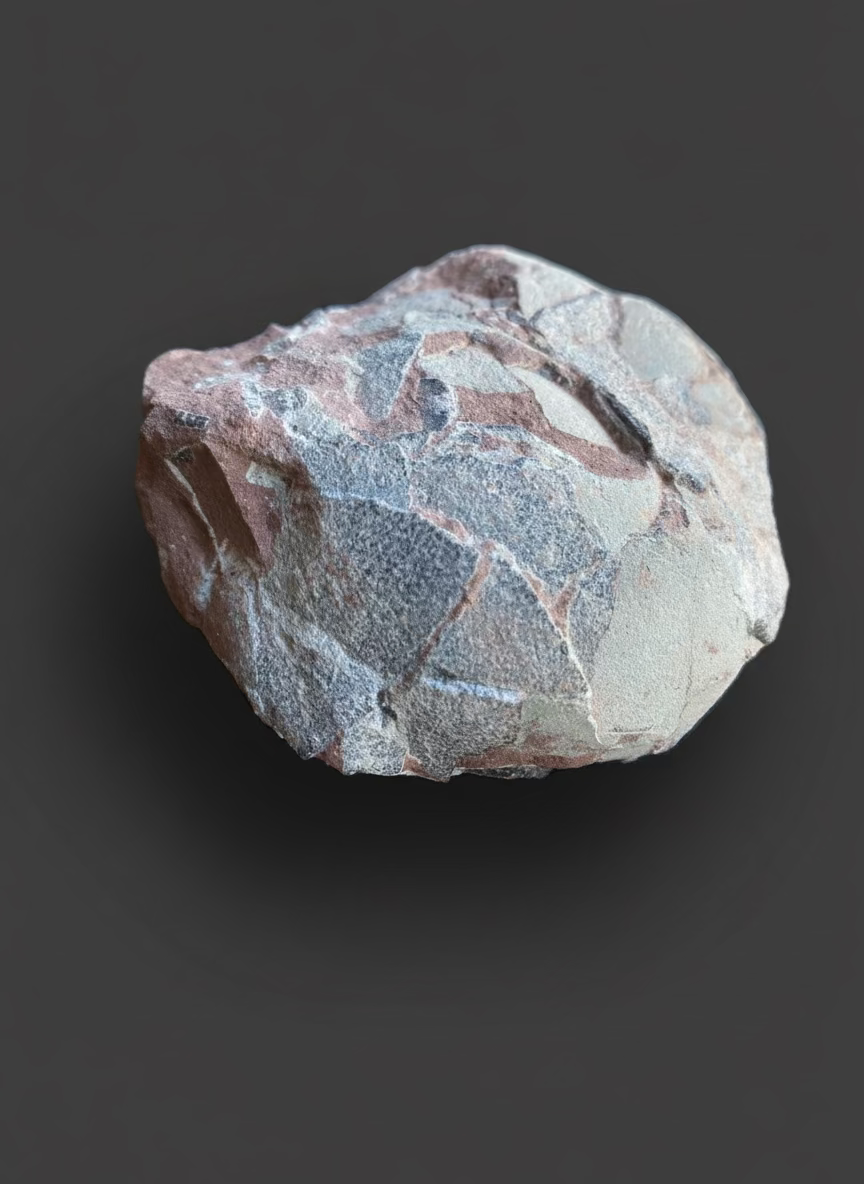 Hadrosaurid Dinosaur Egg with Perfectly Preserved Eggshell Details (Dendroolithus oogenus). Xixia Basin, China.